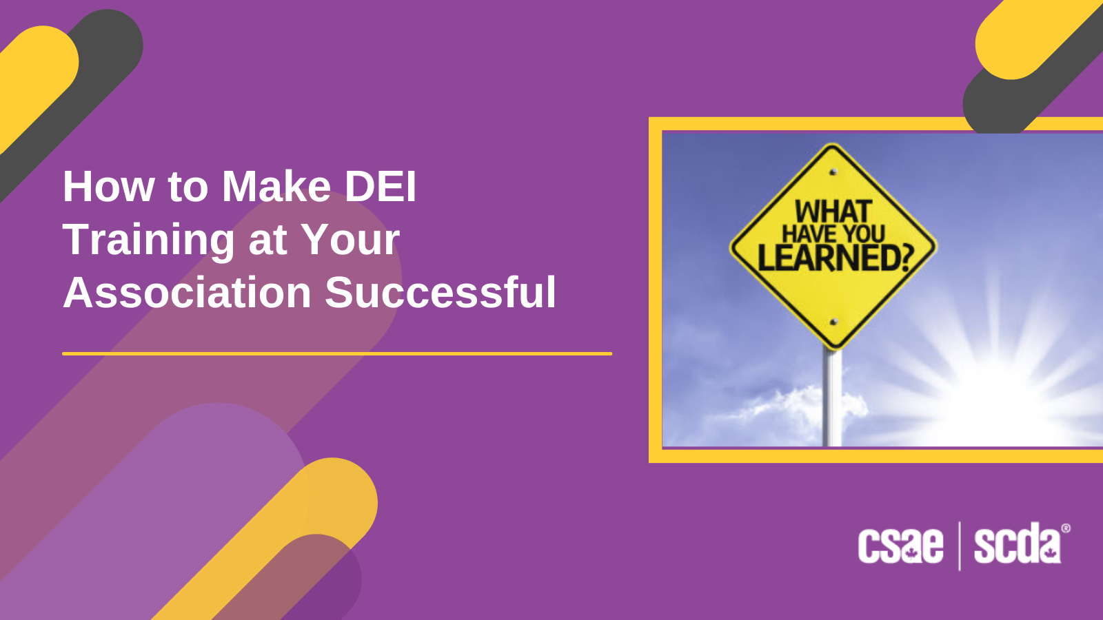 How to Make DEI Training at Your Association Successful